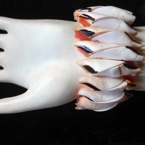 Women's shell conch stretch bracelet cream/pink/black